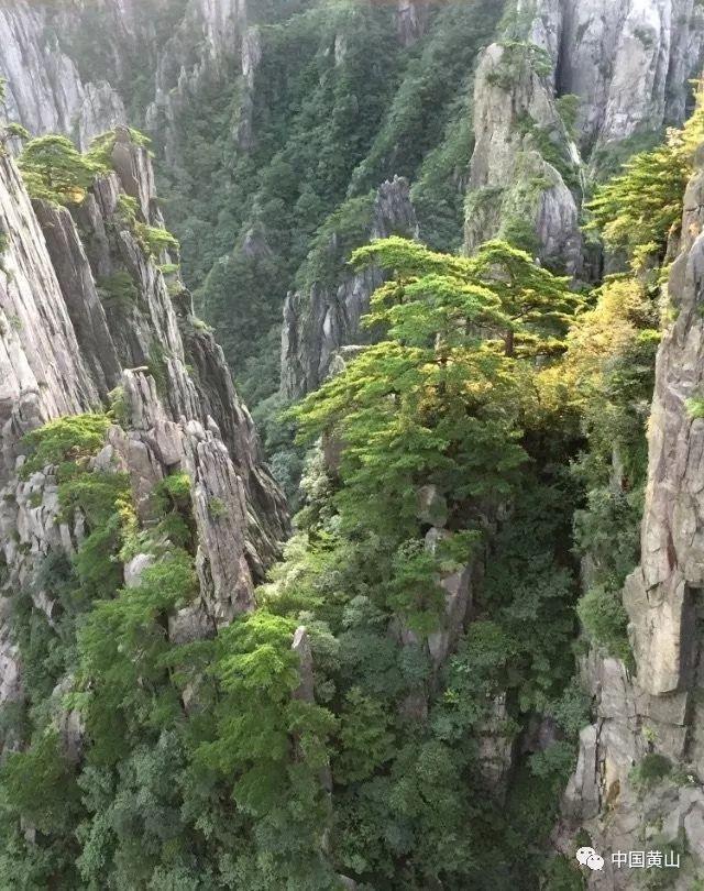 亚洲杯-澳大利亚4-0印度尼西亚晋级八强